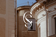 Feathers - Ligature Sans Serif, a Sans Serif Font by Sans & Sons (Thumbnail 5 of 10)