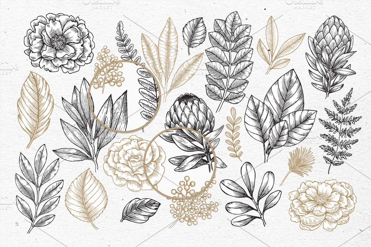Rare plant collection, a Decorative Illustration by adehoidar (Photo 3 of 7)