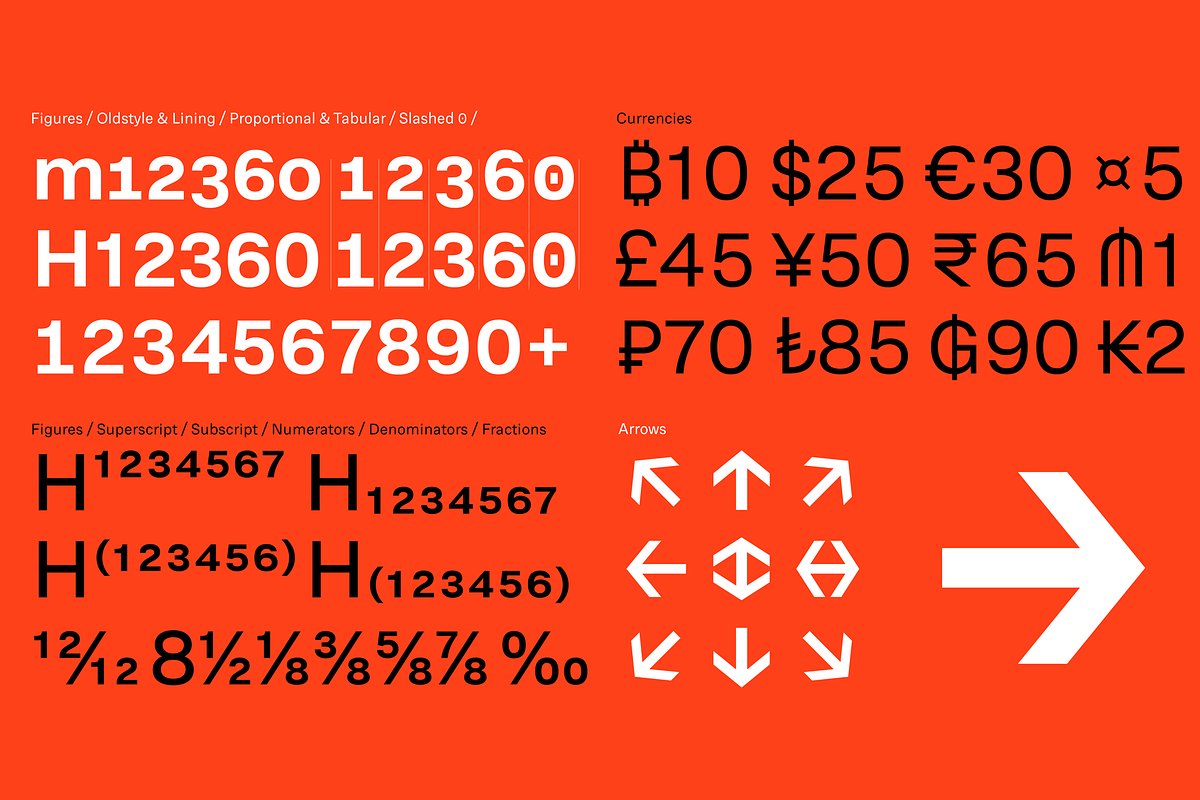 RNS Physis Family, a Sans Serif Font by RNS Fonts (Photo 15 of 15)