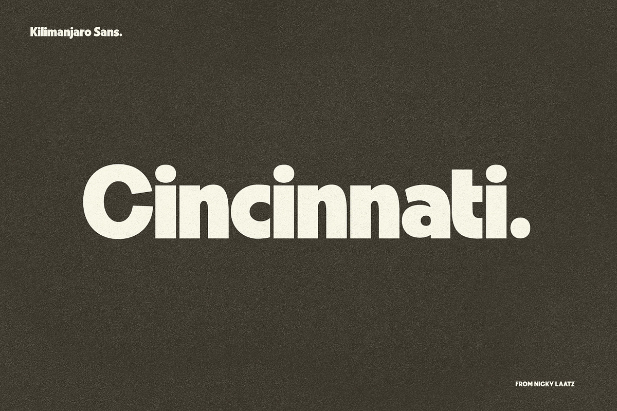 Kilimanjaro Sans (36 fonts), a Font by Nicky Laatz (Photo 22 of 75)