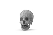 Human Skull Anatomy, a Characters & Person 3D Model by Tedi Permana (Thumbnail 6 of 7)