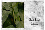 Bad Scan: Black & White Overlays, a Texture Graphic by Purple (Thumbnail 8 of 21)