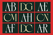 Gradneght Modern Display Serif, a Serif Font by timelesstype.co (Thumbnail 15 of 20)