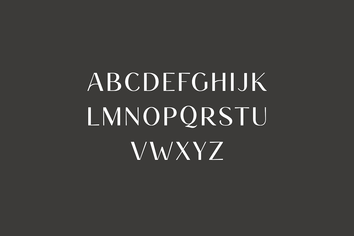 Brown Rosemary Elegant Serif Font, a Serif Font by UICreative (Photo 9 of 13)