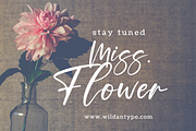 Modern Signature Bundle, a Script Font by Wildan Type (Thumbnail 10 of 12)