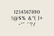 Jekaterina Modern Serif Font, a Serif Font by UICreative (Thumbnail 7 of 8)