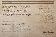 Aesthebloom Signature Script Font, a Handwritten Font by Letterhanna Studio (Thumbnail 12 of 12)