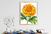 Marigold Flower Bloom Clipart, an Illustration by Rose Art (Thumbnail 5 of 8)
