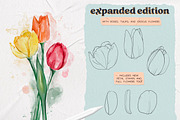 Flower Builder Kit for Photoshop, a Brushes & More by Wooly Pronto (Thumbnail 8 of 11)