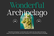 Blomenia, a Serif Font by Zaloma Studio (Thumbnail 4 of 18)