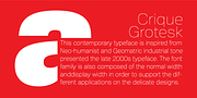 Crique Grotesk, a Sans Serif Font by Stawix (Thumbnail 8 of 8)