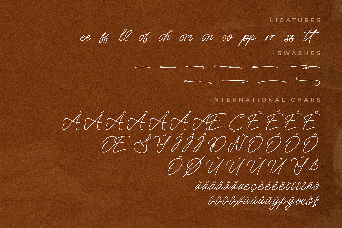 Melankoly Asteria Monoline Font, a Script Font by Letterena Studios Script (Photo 14 of 15)
