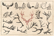 150 Vintage Hunting/Fishing Vectors, an Animal Illustration by Brigantine Designs (Thumbnail 8 of 8)