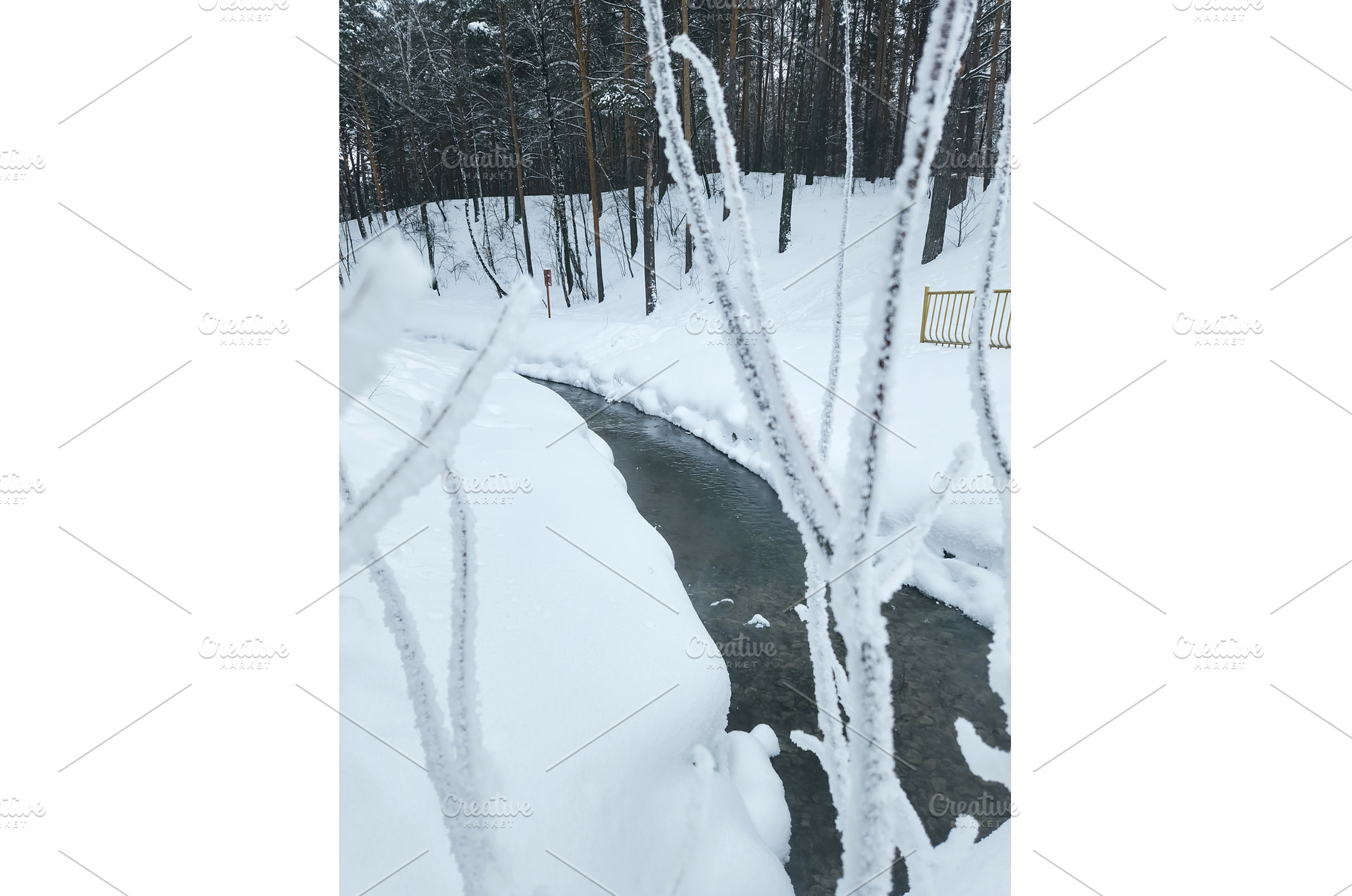 Snowy river flows through forest, an Animal Photo by darksoul72