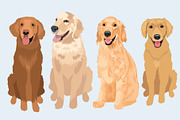 Golden Retriever Vector Clip Art, an Illustration by Putnam Road Art (Thumbnail 3 of 3)
