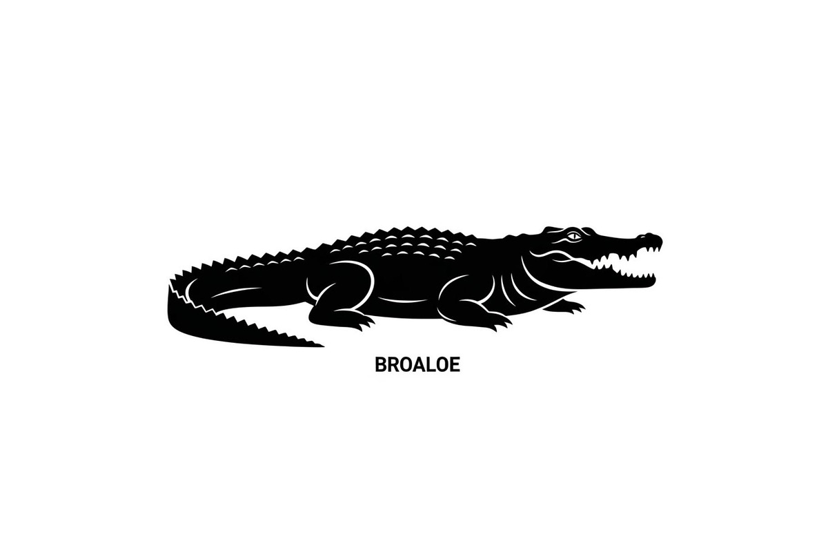 Crocodile Alligator Vector Bundle, an Illustration by jahid234 (Photo 51 of 51)