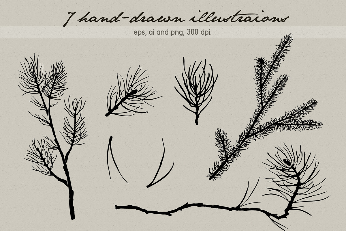 Ink illustrations, an Animal Illustration by Elisa Ursa (Photo 2 of 6)