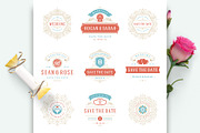 18 Wedding Logos and Badges, a Branding & Logo Template by Vasya Kobelev (Thumbnail 6 of 14)