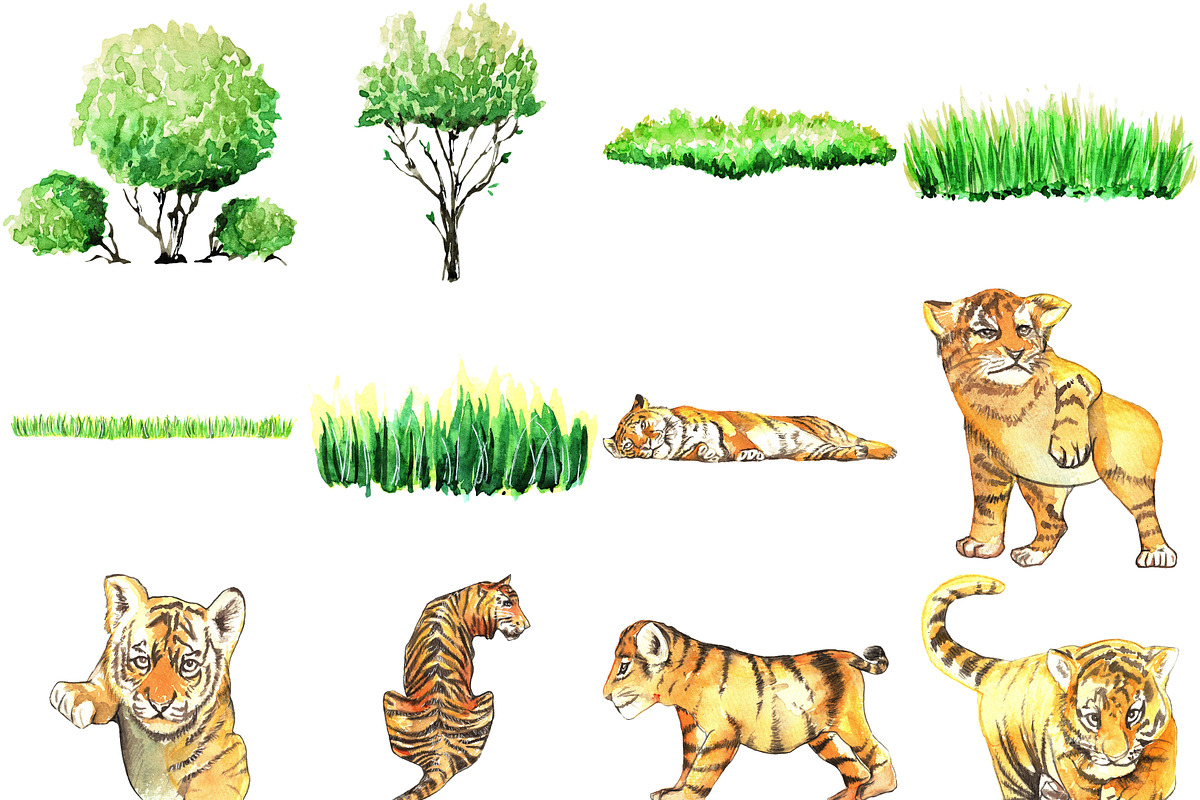 REALISTIC TIGER WATERCOLOUR CLIPART, an Animal Illustration by LilyBoo Clipart (Photo 3 of 5)