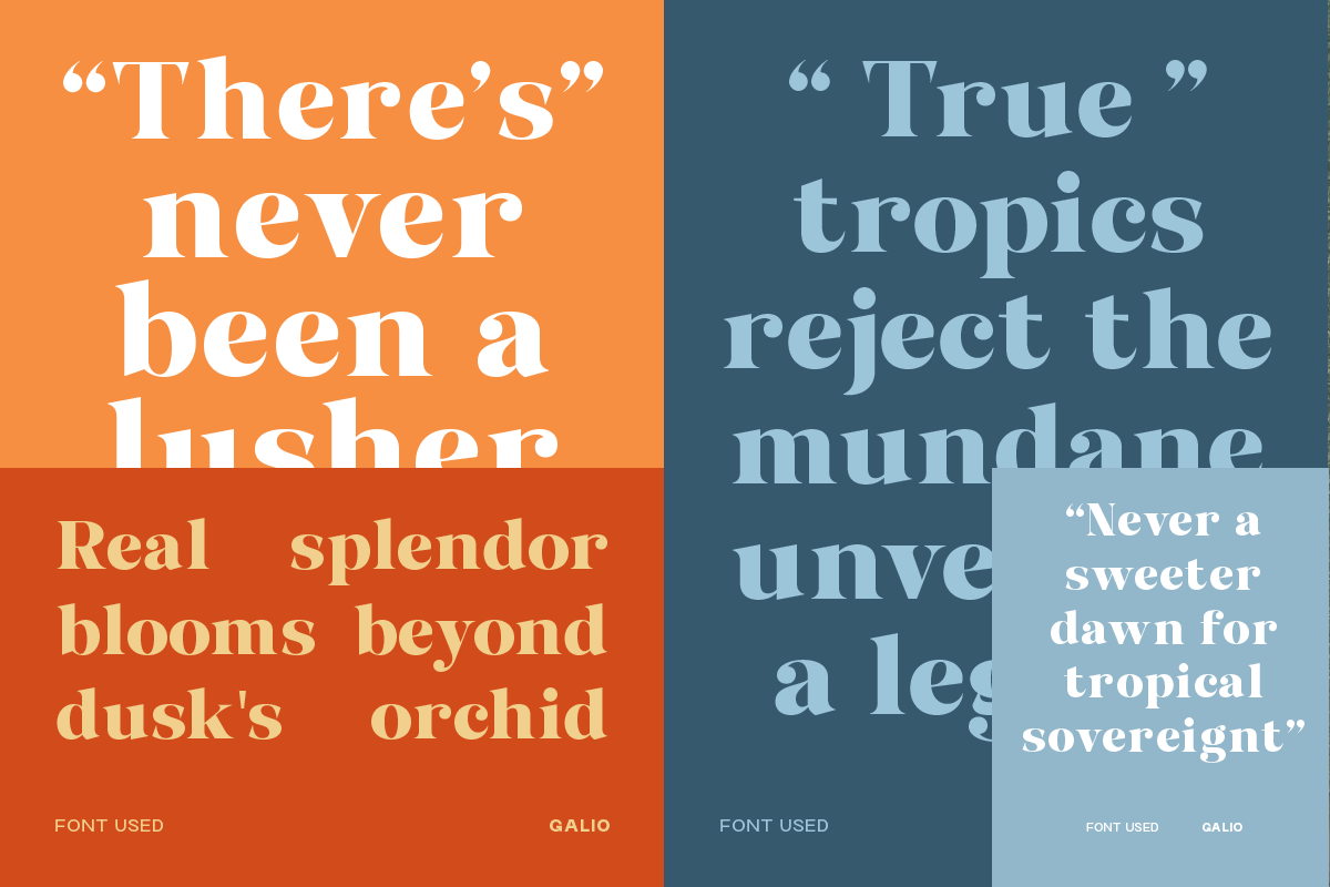 Galio Vintage Elegant Serif Display, a Serif Font by roomspace creative lab (Photo 4 of 10)
