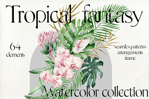 Tropical fantasy