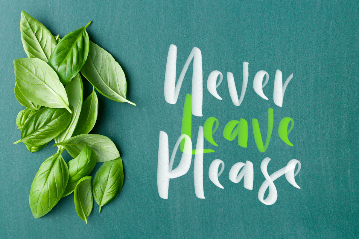 Moligne - SVG Font Duo (40% OFF) preview 7