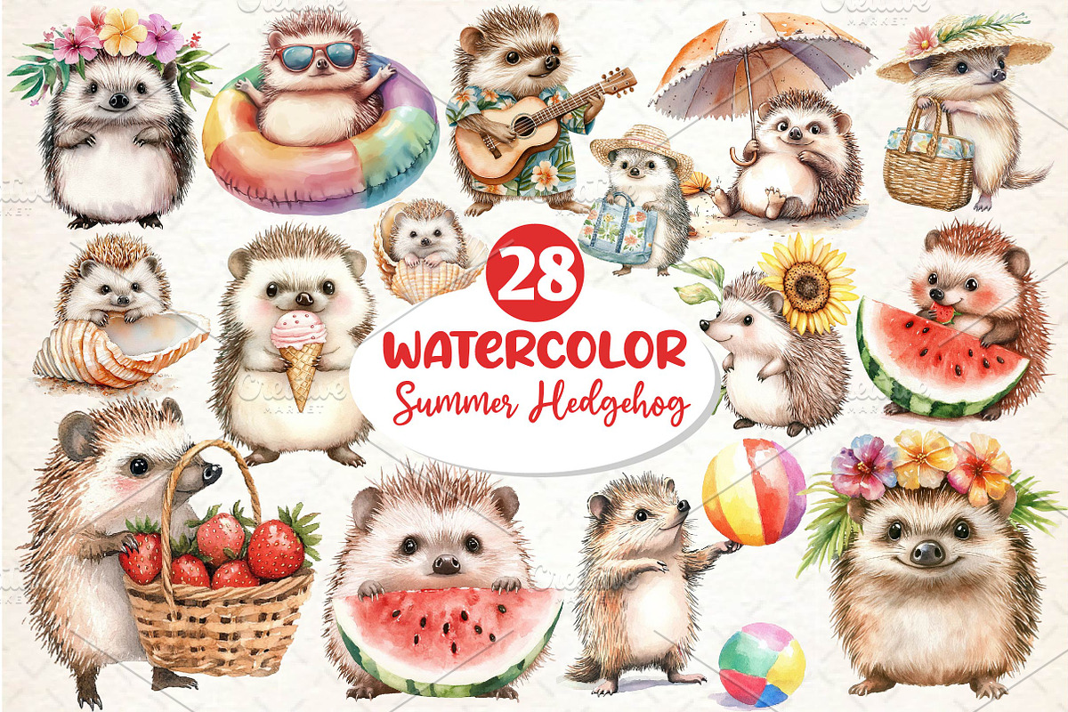 Summer Hedgehog Clipart, an Illustration by Dream Creation (Photo 1 of 6)