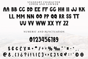 Minimal, a Serif Font by InermediaSTUDIO (Thumbnail 5 of 8)