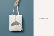 Pangolin Illustration - PNG, an Animal Illustration by LaurenFittonIllustration (Thumbnail 5 of 7)