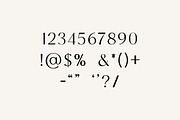 Palindrome Elegant Serif Font, a Serif Font by UICreative (Thumbnail 11 of 13)