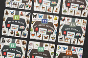 Animals Montessori Cards Bundle, an Education Illustration by Pix Cafe (Thumbnail 3 of 12)