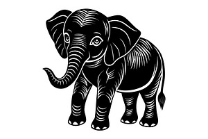 Baby elephant