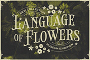 Brindley Houston Display Serif, a Serif Font by Letterhend Studio (Thumbnail 10 of 11)