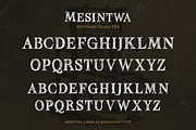 Mesintwa, a Serif Font by ilhamtaro (Thumbnail 7 of 10)