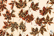Leopard Print Maple Leaves Pattern, a Pattern Graphic by Creative Store (Thumbnail 2 of 5)