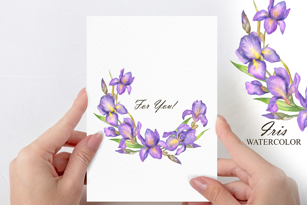 Watercolor Iris flower clipart, an Illustration by OlDm_Shop (Photo 4 of 5)