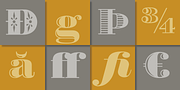 Battista, a Serif Font by preussTYPE (Thumbnail 8 of 9)