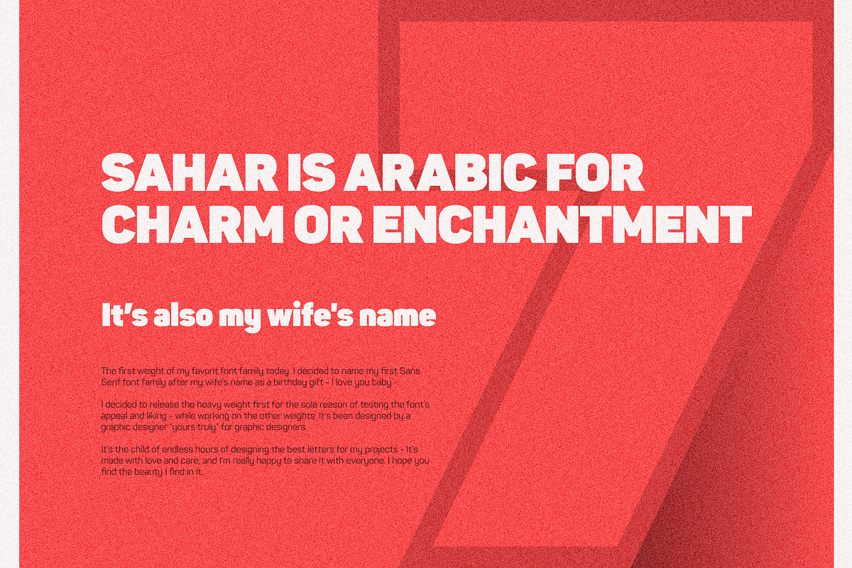 Sahar Heavy (Roman & Italic), a Sans Serif Font by Lella7 (Photo 3 of 15)