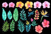 Hawaiian summer vibes RB-16, an Illustration by Charushella (Thumbnail 5 of 5)
