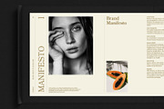 HAVANA / Brand Guidelines Template, a Presentation Template by Circular (Thumbnail 6 of 15)