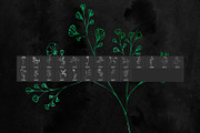 22 Meadow Photoshop Stamp Brushes, a Brush Add-On by ArtistMef (Thumbnail 2 of 4)