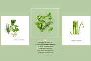 Organic Kitchen. Scene Creator, an Object Graphic by ifiStudio (Thumbnail 5 of 6)