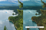 20 Vintage Nature Lightroom Presets, a Preset Add-On by SparkleStock (Thumbnail 16 of 17)
