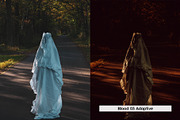 20 Haunted Lightroom Presets and LUT, a Preset Add-On by SparkleStock (Thumbnail 5 of 16)