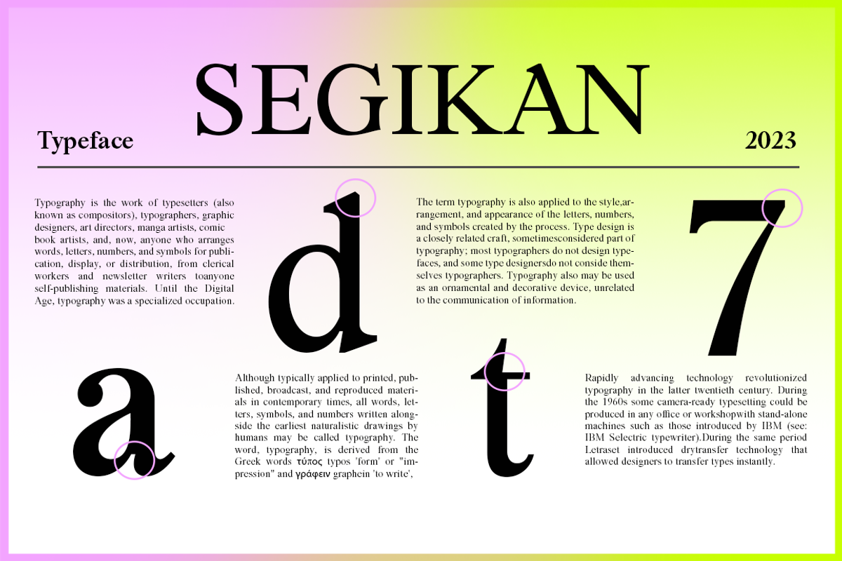 Segikan | SALE 60% OFF, a Serif Font by Areatype (Photo 7 of 16)