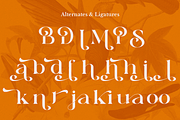 Sunny Paradise - Decorative Typeface, a Serif Font by Windfall Co (Thumbnail 10 of 11)