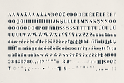 Averique – Elegant Modern Serif Font, a Serif Font by Only Fonts (Thumbnail 10 of 11)