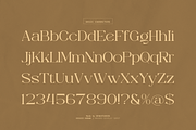 Diggie Brown | Modern Display Serif, a Serif Font by Denustudios (Thumbnail 10 of 12)