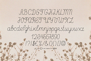 MARY Handwritten Font