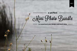 Nature - Mini Photo Bundle - No.1